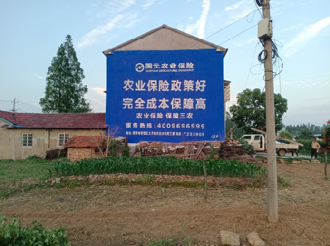 印江墙体广告的优劣势你知道吗？